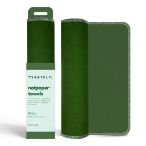 Earthly Co reuseable notpaper towel green