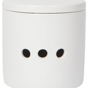 Danica Garlic keeper white